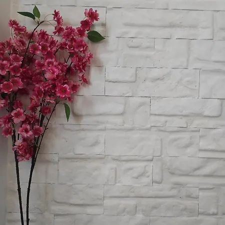 Apartamento Aurora Nest