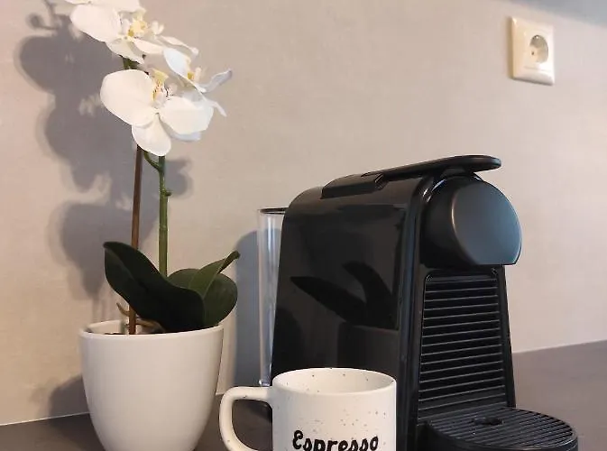 Apartamento Aurora Nest