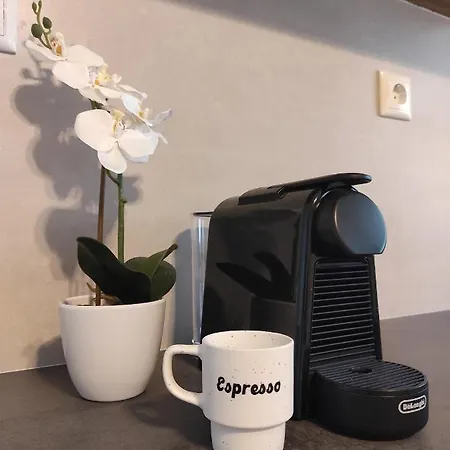 Appartement Aurora Nest